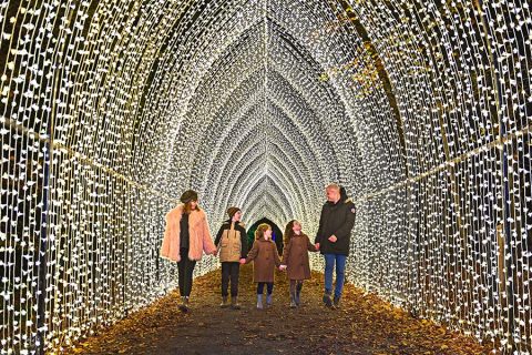 V soboto, 27.12.2025 in 03.01.2026, bodo vrata naših delavnic ostala ZAPRTA